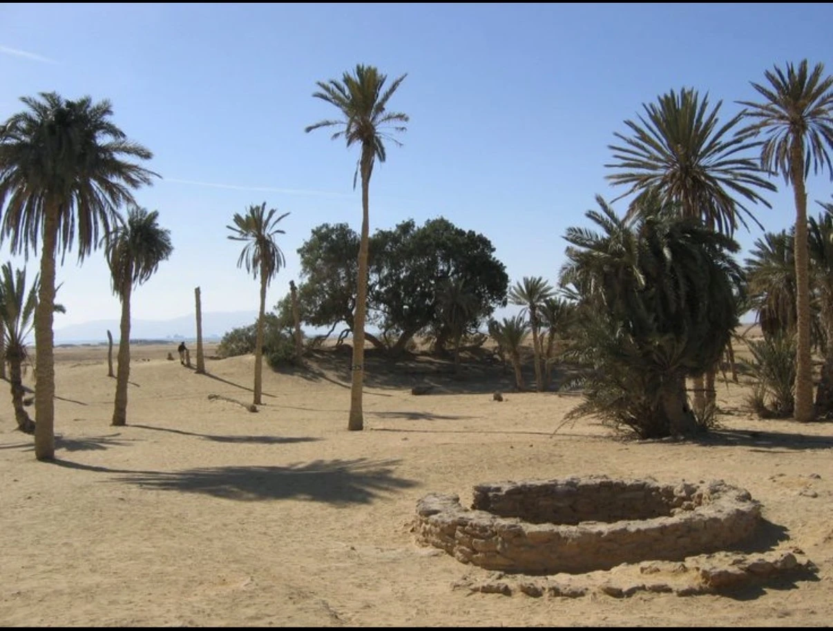 Elim — A place of peace and rest